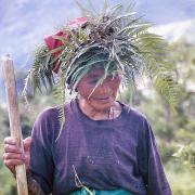Haarschmuck und Tatoos bestimmen die Stammeszugehörigkeit eines Philipinos.