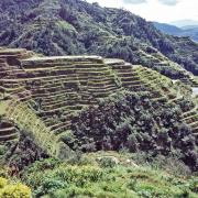 Die Reisterrassen der Philippinen im Norden von Luzon gehören zum Weltkulturerbe.