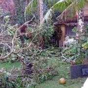 Taifun Haiyn zerstörte größten Teils Fauna und Flora auf Boracay Island.